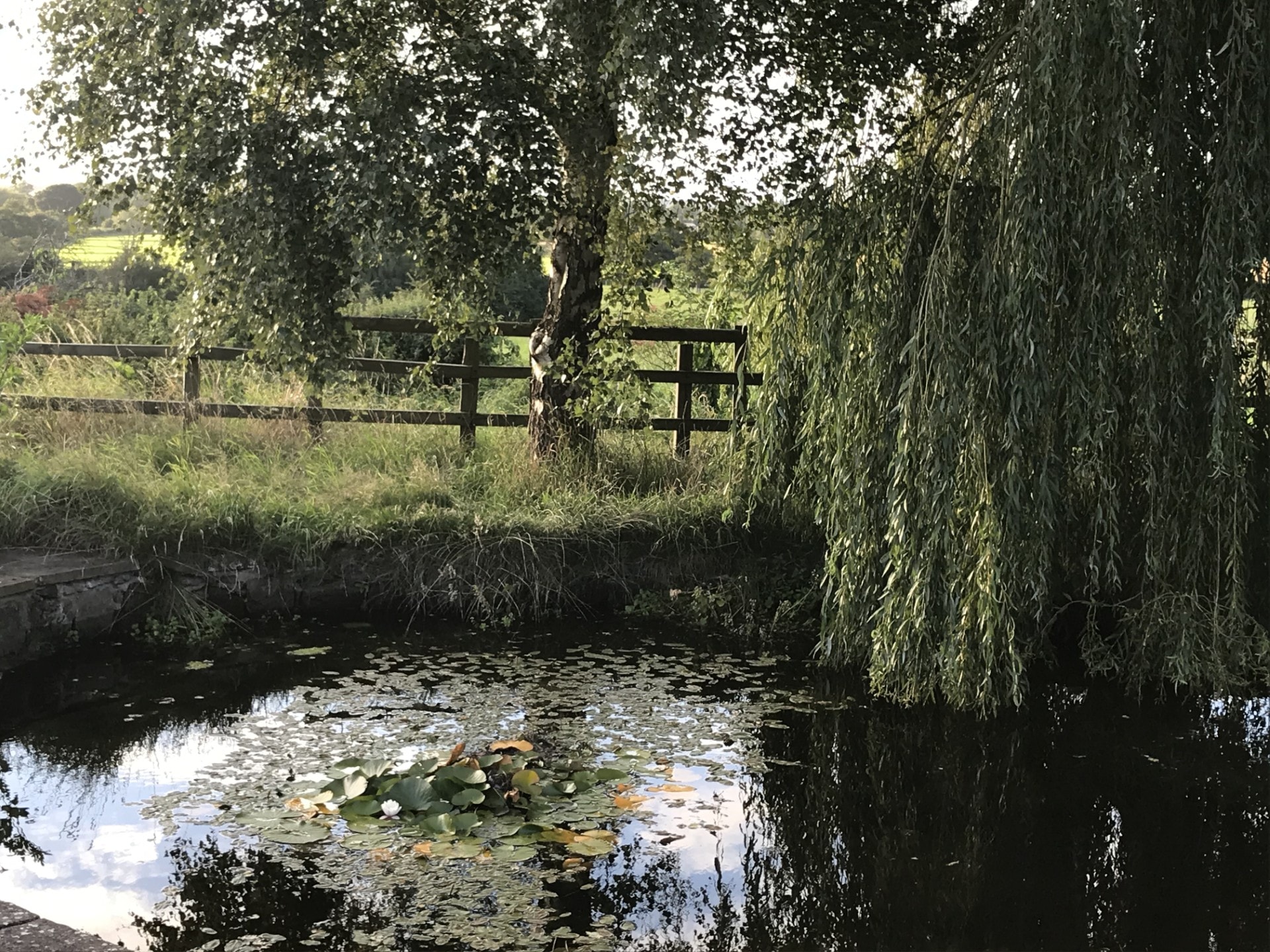A peaceful moment of reflection in nature